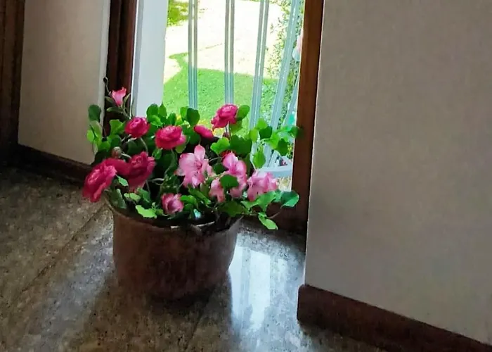 Rosetta Tra E Monti *